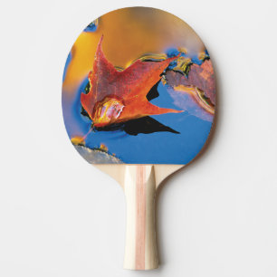 Pala De Ping Pong EE. UU., Nordeste, Hoja de Arce en Reflexión