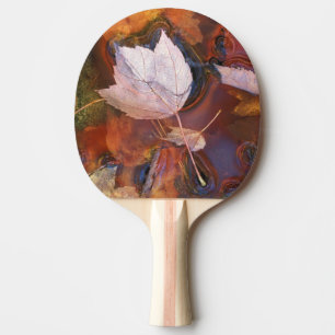 Pala De Ping Pong EE. UU., Nordeste, Hojas de otoño en charco con
