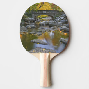 Pala De Ping Pong EE. UU., Oregón, Ashland, Lithia Park. Otoño