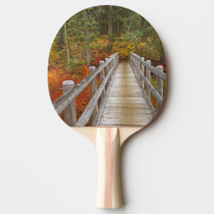 Pala De Ping Pong EE. UU., Oregón, Bosque Nacional Willamette.