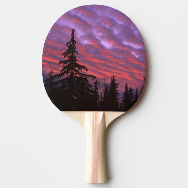 Pala De Ping Pong EE. UU., Oregón, Three Sisters Wilderness, Intenso (Anverso)