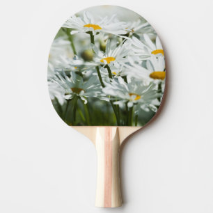 Pala De Ping Pong EE. UU., Oregón, Valle de Willamette, Selectivo