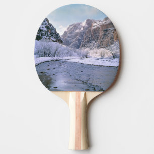 Pala De Ping Pong EE. UU., Utah, Zion NP. Nieve nueva cubre el cañón
