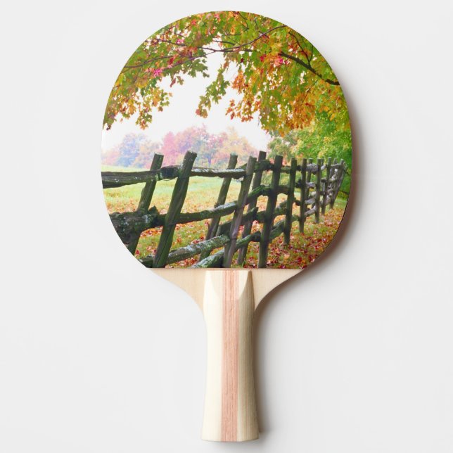 Pala De Ping Pong EE.UU., Vermont. Alambrada bajo follaje otoñal. (Anverso)