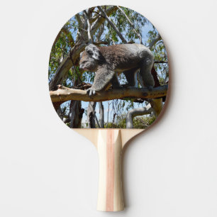 Pala De Ping Pong El australiano Koala lleva caminando,