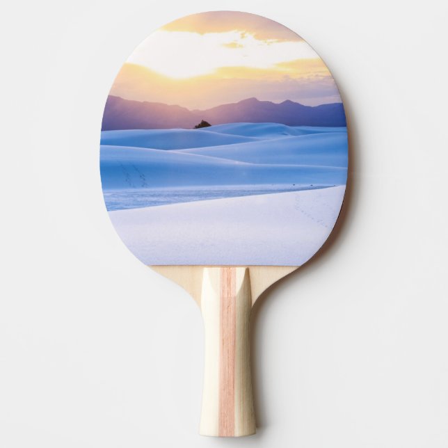 Pala De Ping Pong El blanco enarena el monumento nacional 3 (Anverso)