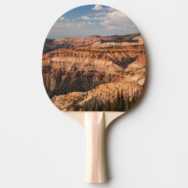 Pala De Ping Pong El cedro rompe el monumento nacional, Utah (Anverso)