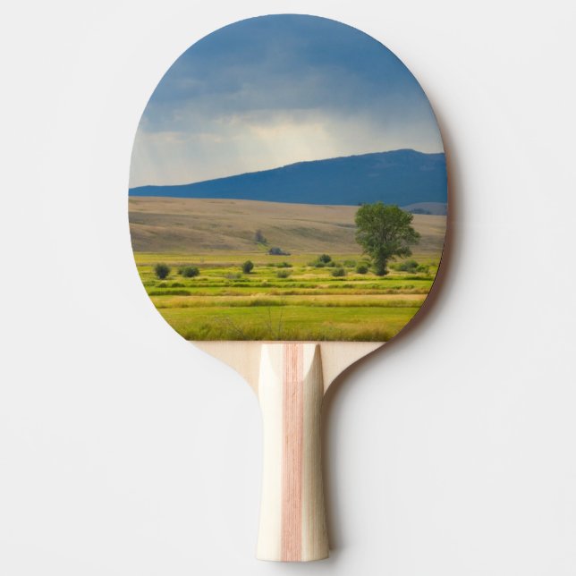 Pala De Ping Pong El condado de Granite Montana (Anverso)