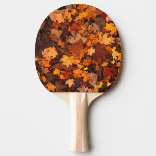 Pala De Ping Pong el otoño