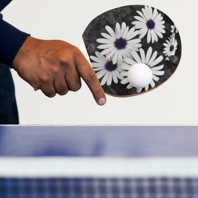 Pala De Ping Pong El sutil contraste de la naturaleza (in situ)