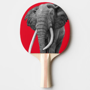 Pala De Ping Pong Elefante de toros - Dibujo a lápiz