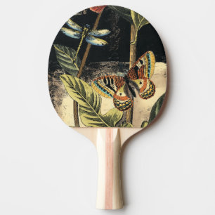 Pala De Ping Pong Escena oscura de la naturaleza por el estudio de