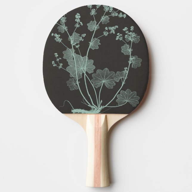 Pala De Ping Pong Estudio de naturaleza de la menta y del carbón de (Anverso)