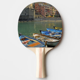 Pala De Ping Pong Europa, Italia, región de Liguria, Cinque Terre, 2