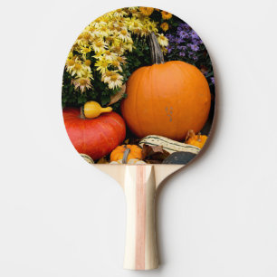 Pala De Ping Pong Exposición colorida de calabazas decorativas de ot