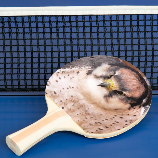 PALA DE PING PONG FALCON (in situ)