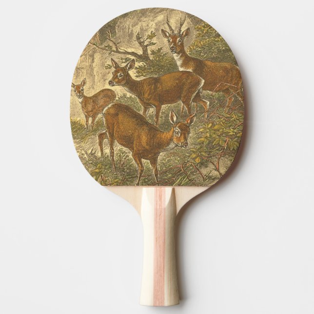 Pala De Ping Pong Familia de Roe - Deers en un bosque (Anverso)