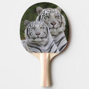 Pala De Ping Pong Fase blanca, Tigre de Bengala, Tigris