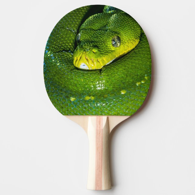 Pala De Ping Pong Feliz Cumpleaños Snake (Anverso)