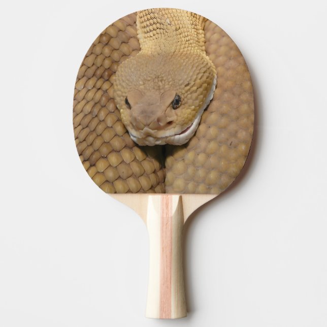 Pala De Ping Pong Feliz cumpleaños Snake Ping Pong Paddle (Anverso)