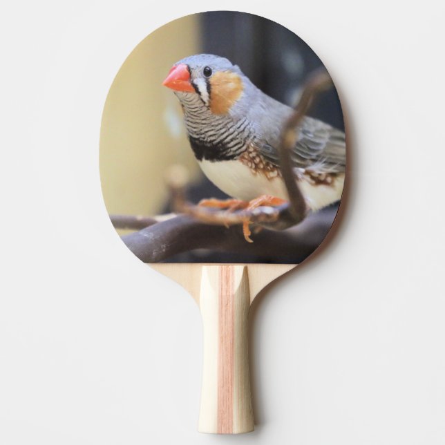 Pala De Ping Pong Finch (Anverso)