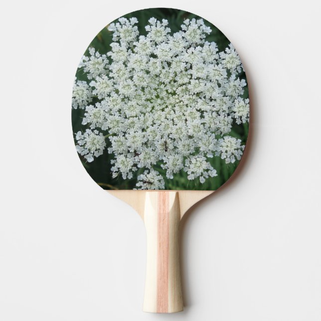 Pala De Ping Pong Flor tropical Ping Pong Paddle, goma roja de vuelt (Anverso)