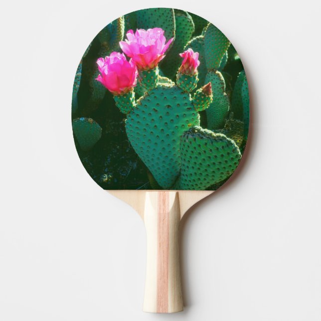 Pala De Ping Pong Flores de Cactus de Cola de Castor (Anverso)