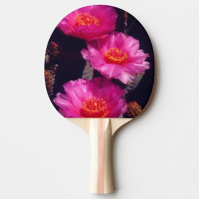 Pala De Ping Pong Flores de Cactus de Cola de Castor 2 (Anverso)