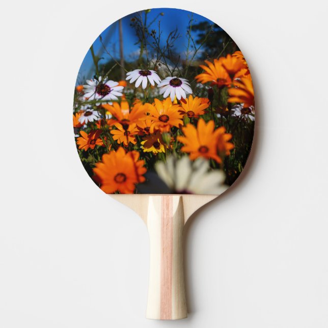 Pala De Ping Pong Flores de Namaqualand (Anverso)