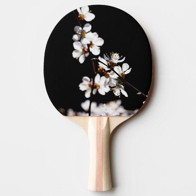 Pala De Ping Pong Flores sakura (Reverso)