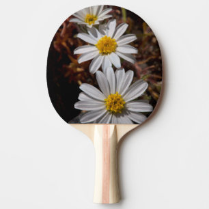 Pala De Ping Pong Flores silvestres de la estrella del desierto