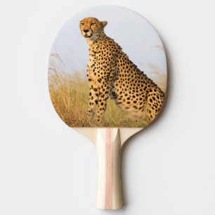 Pala De Ping Pong Foto de gato grande de animales salvajes Cheetah