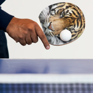 Pala De Ping Pong Foto de vida silvestre del Tigre de Sumatra