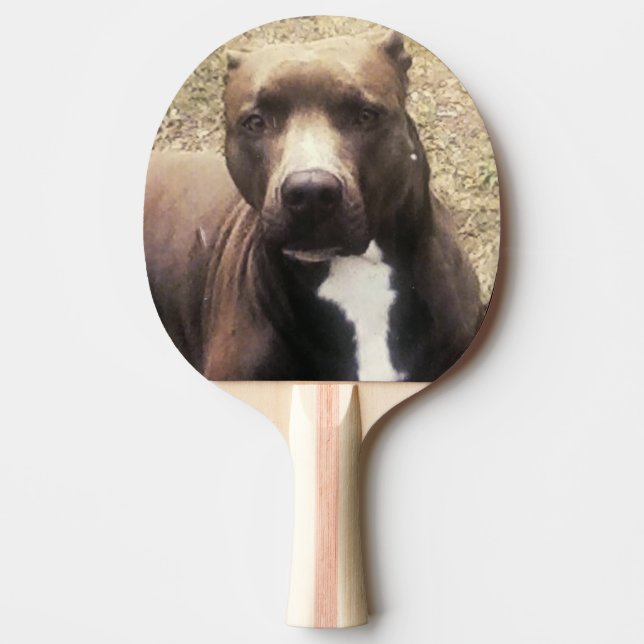 Pala De Ping Pong Foto del Mascota Personalizado Bulldog Pit (Anverso)