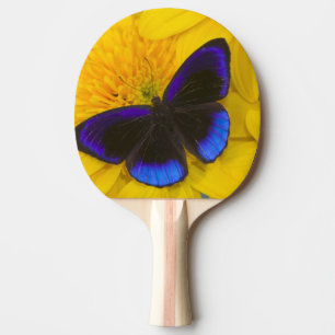 Pala De Ping Pong Fotografía de Mariposa