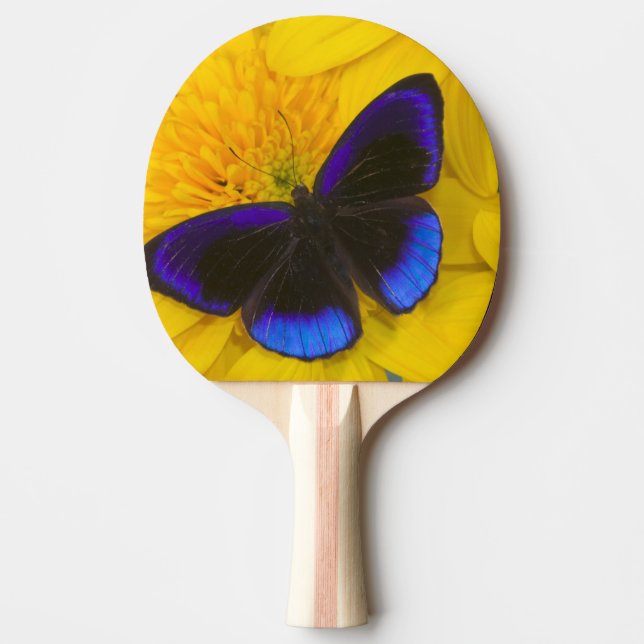 Pala De Ping Pong Fotografía de Mariposa (Anverso)