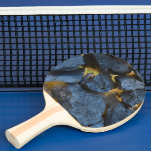 Pala De Ping Pong Fotografía rusa en pared de piedra croata