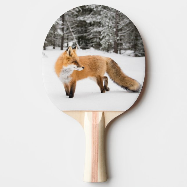 Pala De Ping Pong Fox roja en nieve blanca (Anverso)