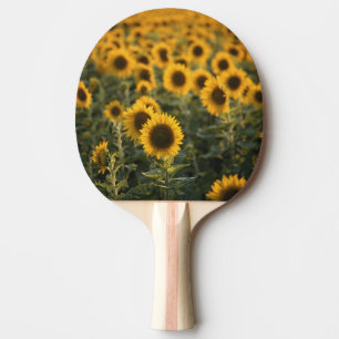 Pala De Ping Pong Francia, Vaucluse, campo de girasoles