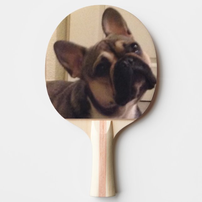 Pala De Ping Pong Französische Bulldogge (Anverso)