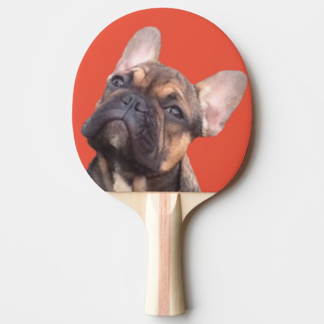 Pala De Ping Pong Französische Bulldogge (Anverso)