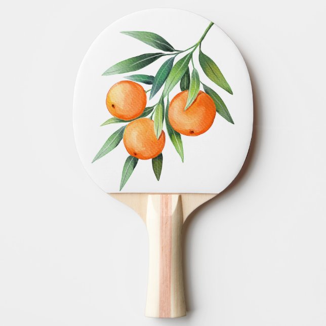 Pala De Ping Pong Frutas Naranjas acuáticas: Ramas aisladas. (Anverso)
