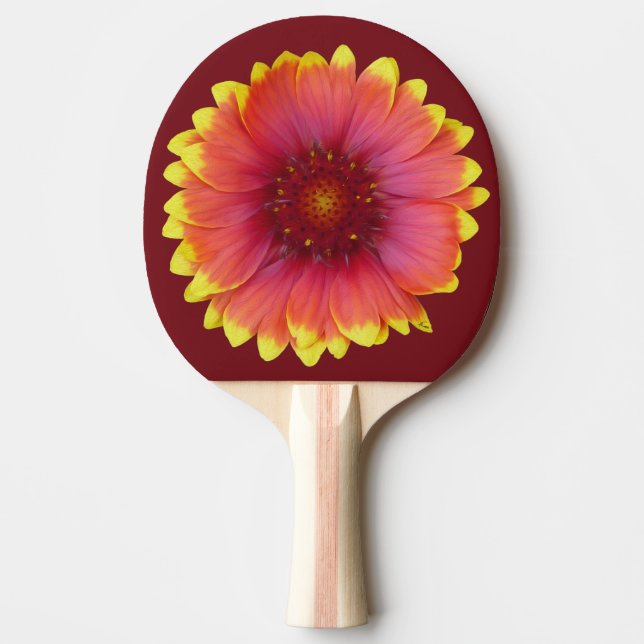 Pala De Ping Pong Gaillardia 1 (Anverso)
