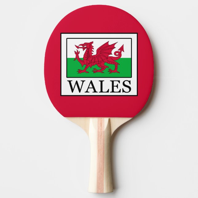 Pala De Ping Pong Gales (Anverso)
