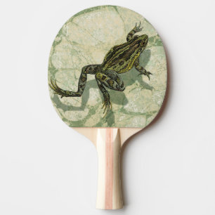 Pala De Ping Pong Ganar toad en el agua