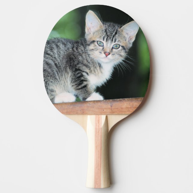Pala De Ping Pong Gatito (Anverso)