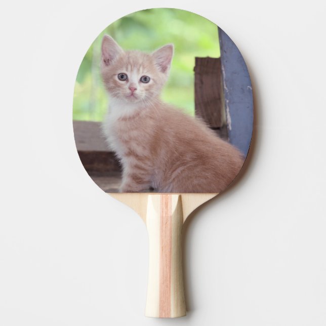 Pala De Ping Pong Gatito (Anverso)