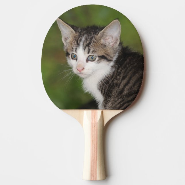 Pala De Ping Pong Gatito (Anverso)