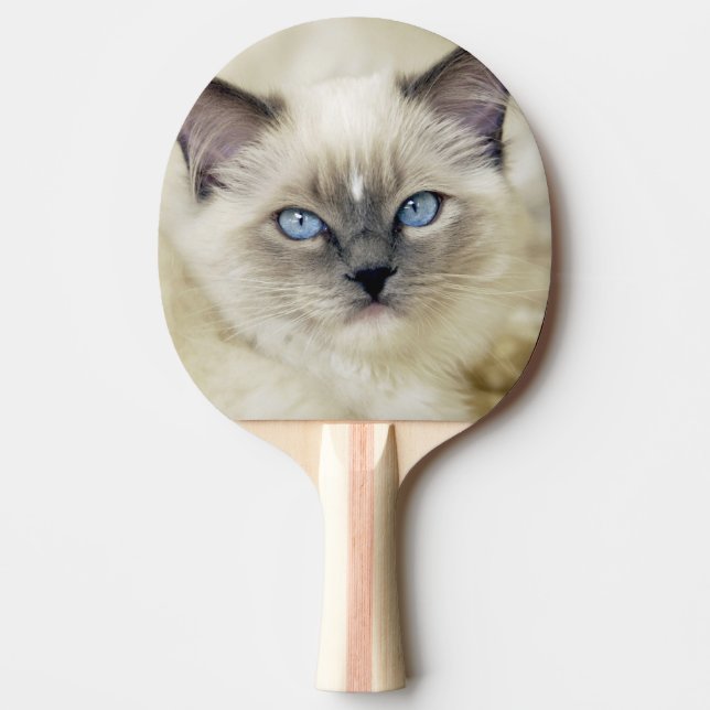 Pala De Ping Pong Gatito Ragdoll (Anverso)