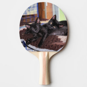 Pala De Ping Pong Gatitos